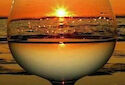 Beach Haven photo