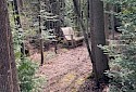 36 Miramichi Bay photo