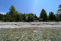 Driftwood photo