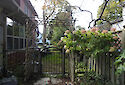 Morpeth Manor photo